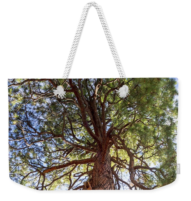Dh Lawrence Weekender Tote Bag featuring the photograph D. H. Lawrence Tree by Joe Schofield