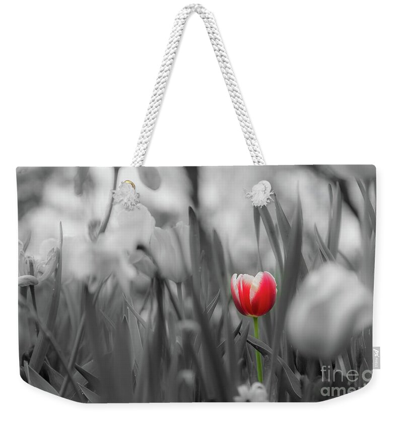 Flower Weekender Tote Bag featuring the photograph Different by Dheeraj Mutha
