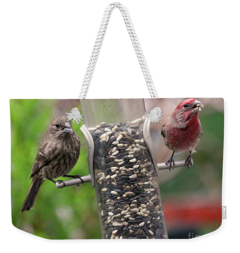 Female House Finch Weekender Tote Bag featuring the photograph Dinner for Two by Patricia Youngquist