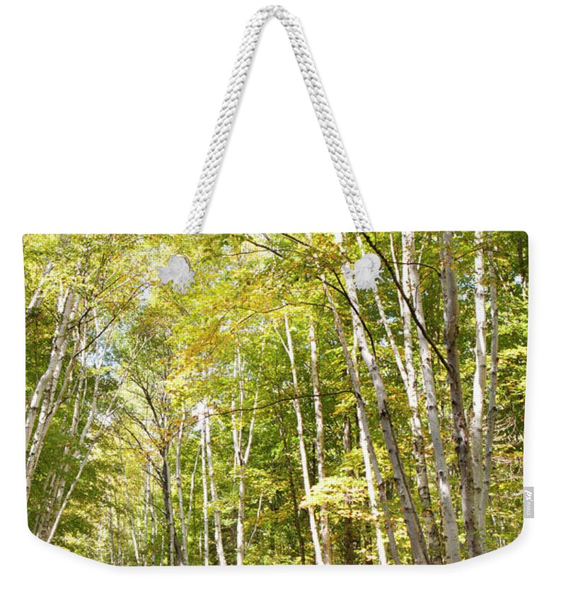 Season Weekender Tote Bag featuring the photograph Dirt Road Lined With Trees In Autumn by Susan Dykstra / Design Pics