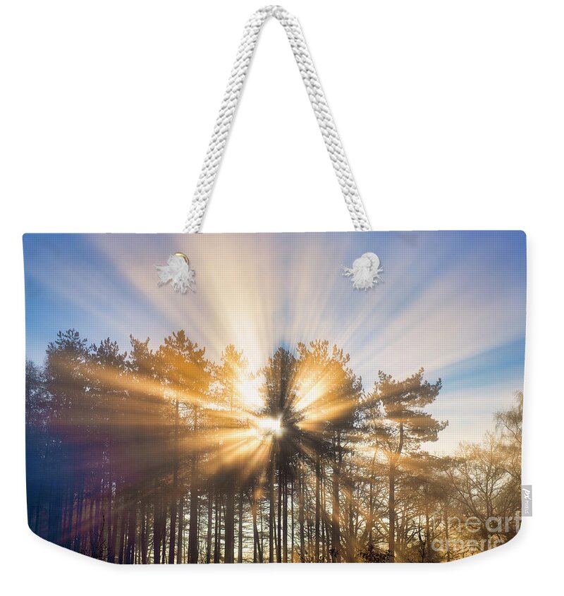 Divine Light Weekender Tote Bag featuring the photograph Divine Light by Tim Gainey