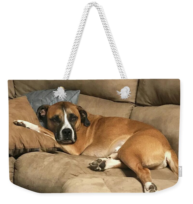  Weekender Tote Bag featuring the photograph Dog Life by Jack Wilson