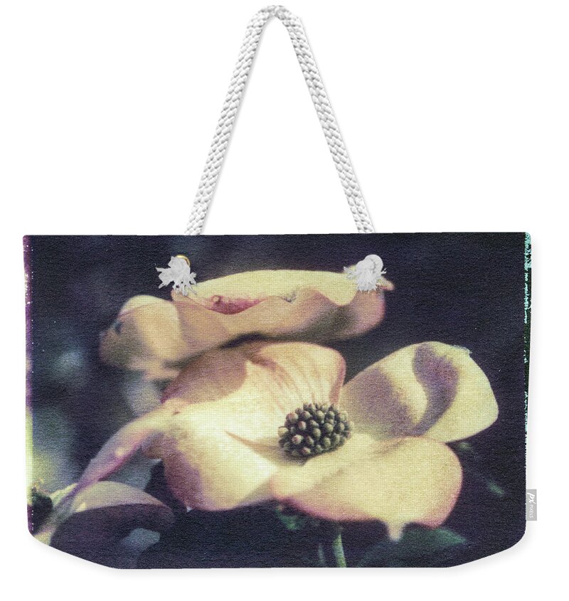 Abstract Weekender Tote Bag featuring the photograph Dogwood 3 by Joye Ardyn Durham