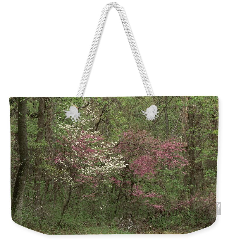 Appalachia Weekender Tote Bag featuring the photograph Dogwood And Redbud In Virginia by Michael Lustbader