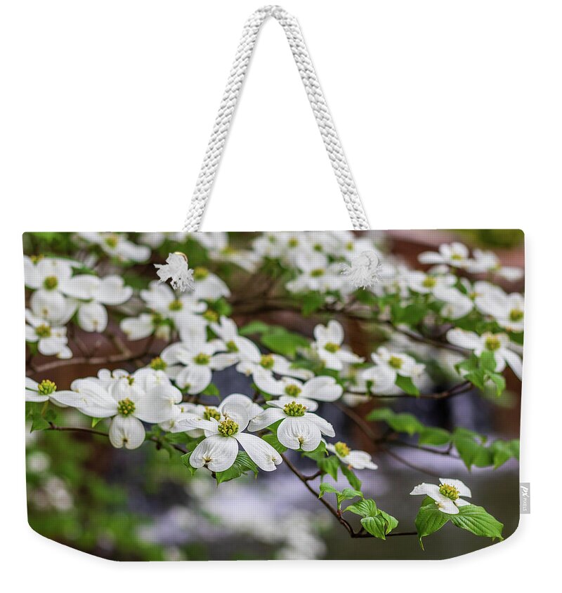 Dogwood Tree Weekender Tote Bag featuring the photograph Dogwood blossoms with water flow by Jack Clutter