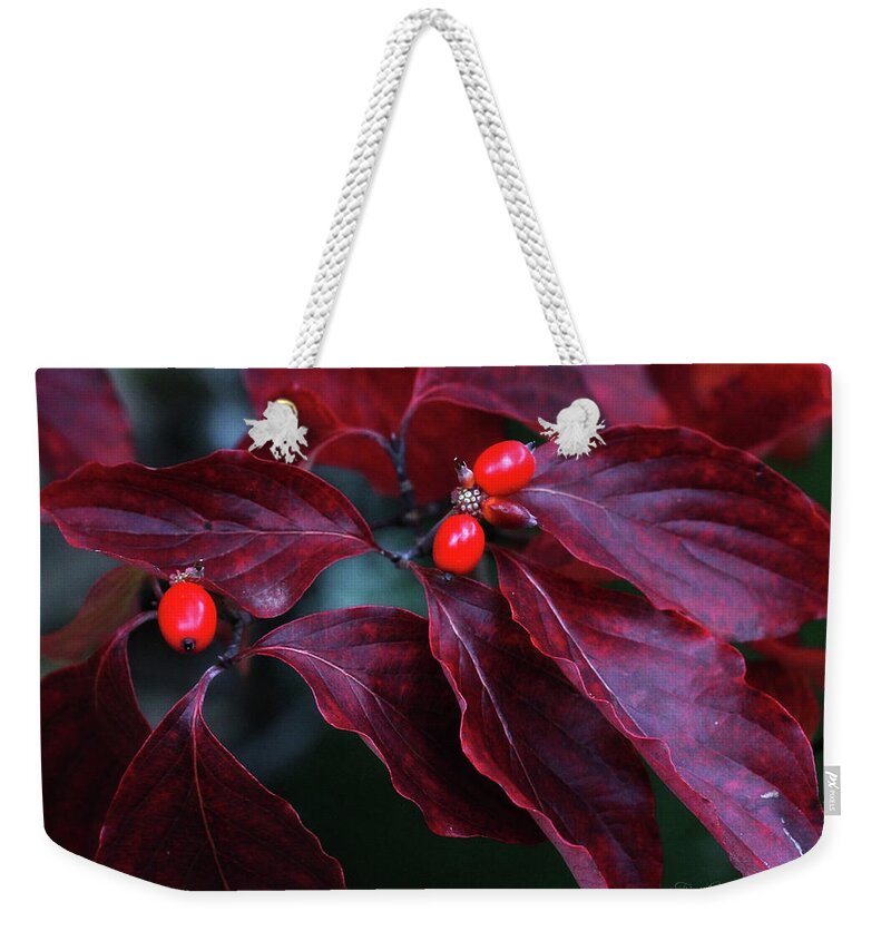 Leaves Weekender Tote Bag featuring the photograph Dogwood Leaves in the Fall by Trina Ansel
