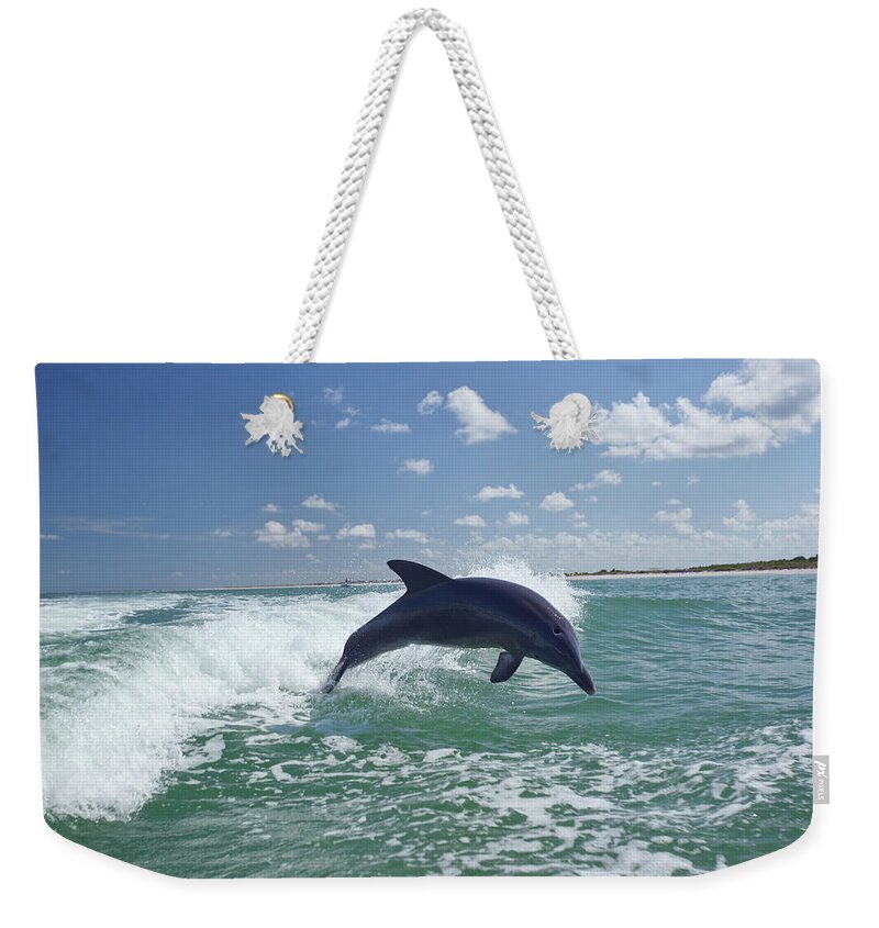 Animals In The Wild Weekender Tote Bag featuring the photograph Dolphin Playing by Ll28