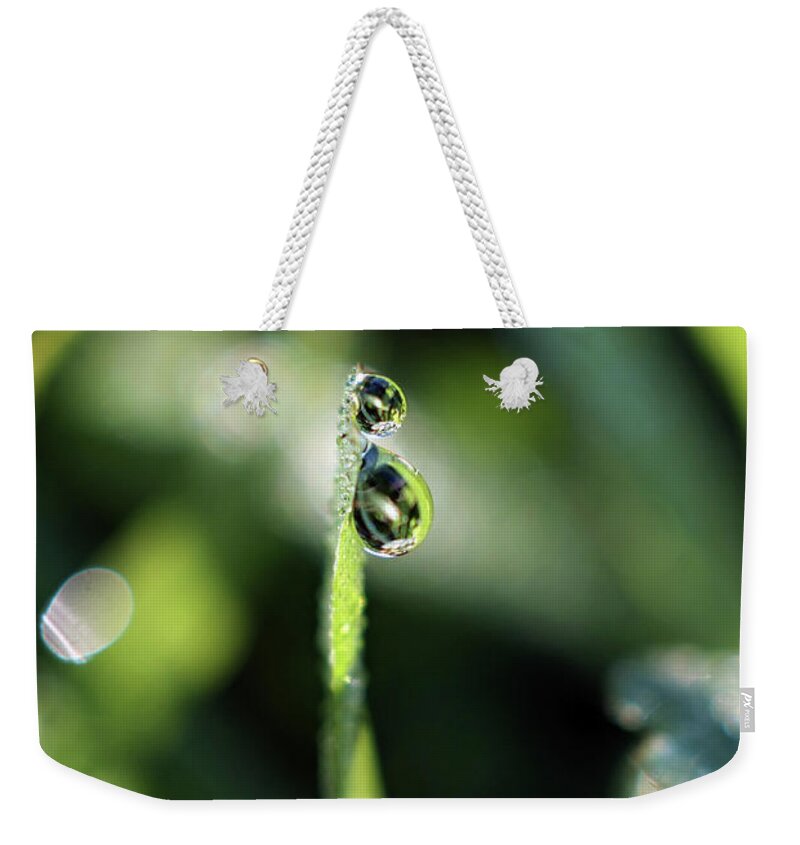 Dew Drops Weekender Tote Bag featuring the photograph Double Vision by Michelle Wermuth