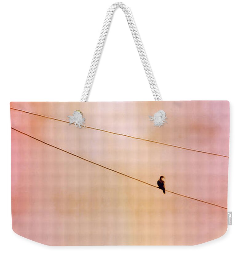 Abstract Weekender Tote Bag featuring the photograph Dove on a Wire by Judy Kennedy