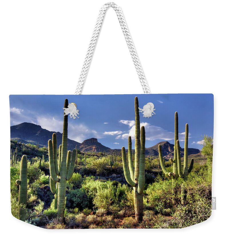 Arizona Weekender Tote Bag featuring the photograph Dragonfly Trail At Spur Cross Ranch by Image By Sean Foster
