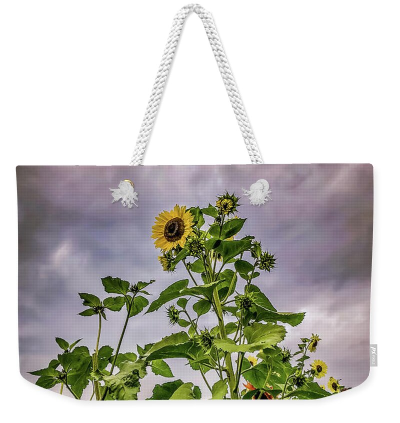 Sunflower Weekender Tote Bag featuring the photograph Dramatic Sunflower by Anamar Pictures