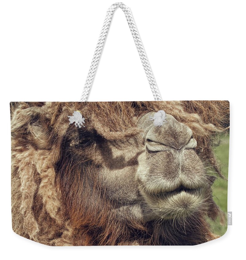 Funky Weekender Tote Bag featuring the photograph Dreadlocks by Blackcatphotos