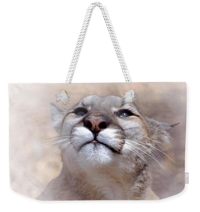 Animal Themes Weekender Tote Bag featuring the photograph Dreaming by Adrienne Bresnahan