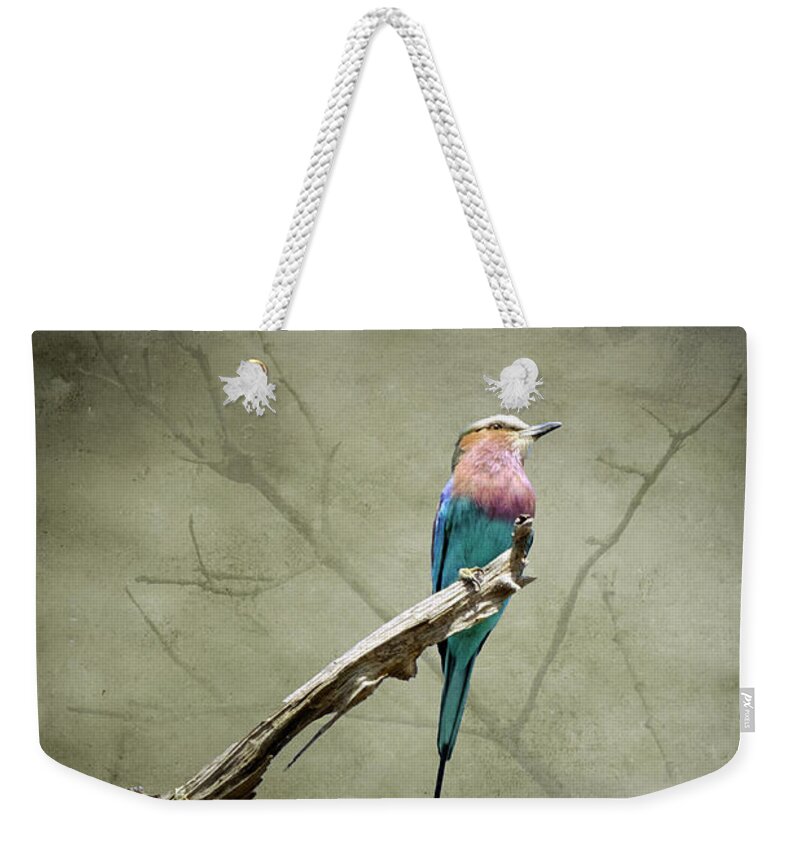 Bird Weekender Tote Bag featuring the photograph Dreams of a Lilac Breasted Roller by Mary Lee Dereske
