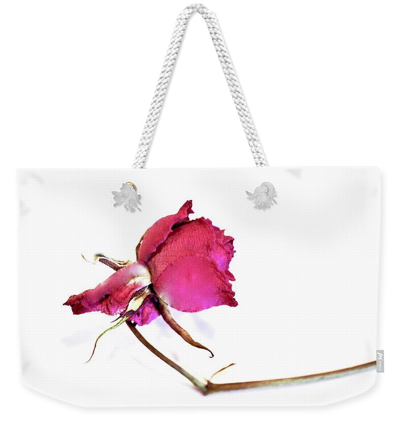 Rose Weekender Tote Bag featuring the photograph Dried Rose by Alida M Haslett
