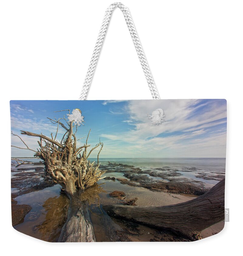 Ocean Weekender Tote Bag featuring the photograph Drift Wood Beach by Robert Och