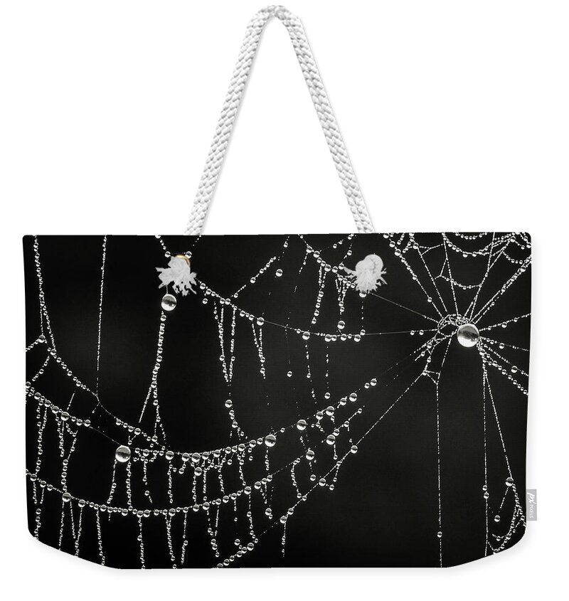 Black And White Weekender Tote Bag featuring the photograph Dripping by Michelle Wermuth