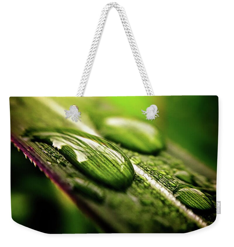 Grass Weekender Tote Bag featuring the photograph Droplets by © Christian Meermann