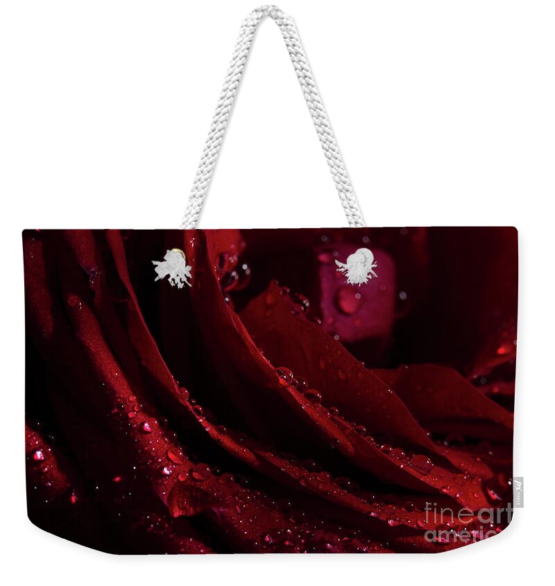 Rose Weekender Tote Bag featuring the photograph Droplets On The Edge by Mike Eingle