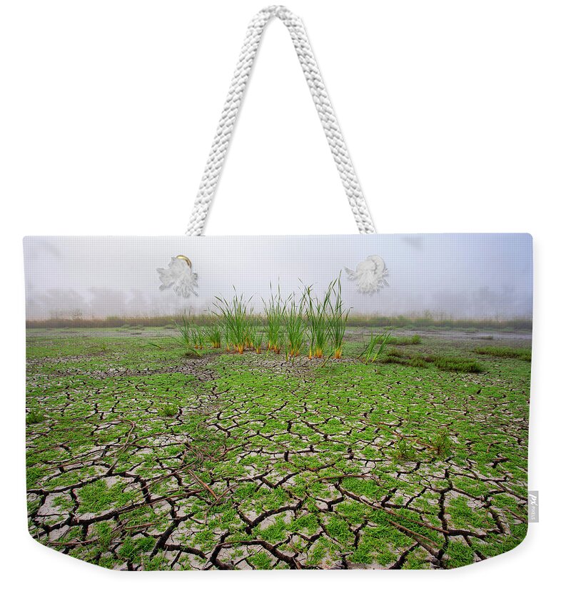 Duck Pond Weekender Tote Bag featuring the photograph Dry Duck Pond by Anthony Jones