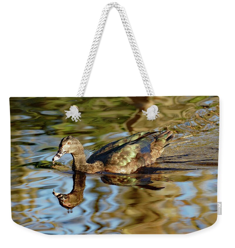 Duck Weekender Tote Bag featuring the photograph Duck Speed Swimming by Margaret Zabor