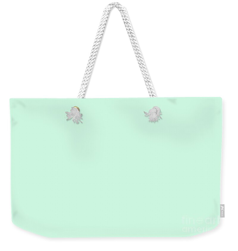 Pastel Weekender Tote Bag featuring the digital art Dunn Edwards 2019 Curated Colors Pale Cactus - Pastel Green DE5673 Solid Color by PIPA Fine Art - Simply Solid
