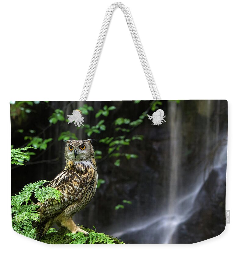 Animal Themes Weekender Tote Bag featuring the photograph Eagle Owl By Waterfall by Images From Barbanna