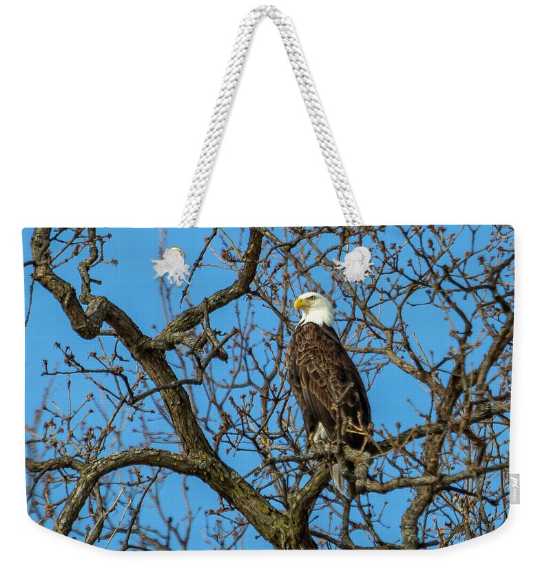 Eagle Weekender Tote Bag featuring the photograph Eagle Watch by David Wagenblatt