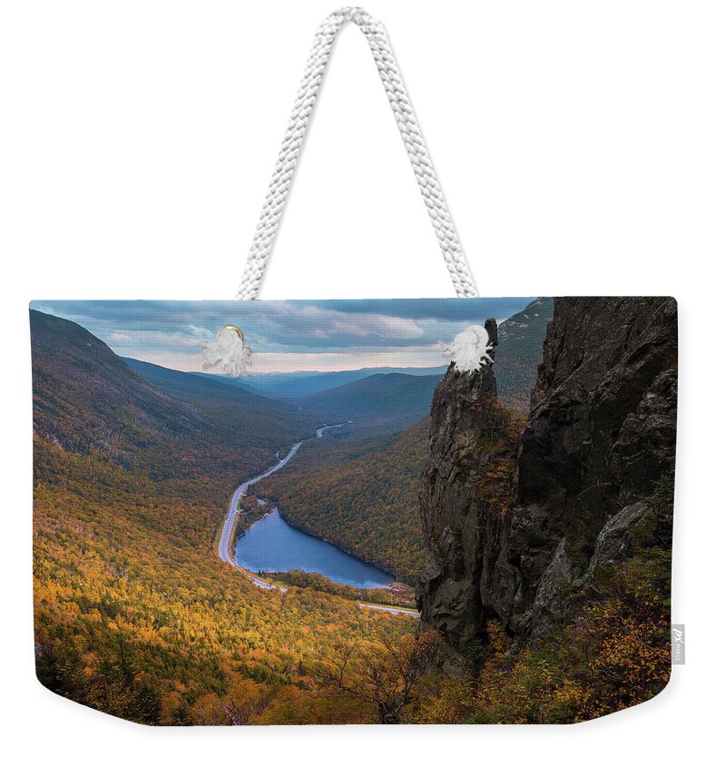 Eaglet Weekender Tote Bag featuring the photograph Eaglet Autumn by White Mountain Images