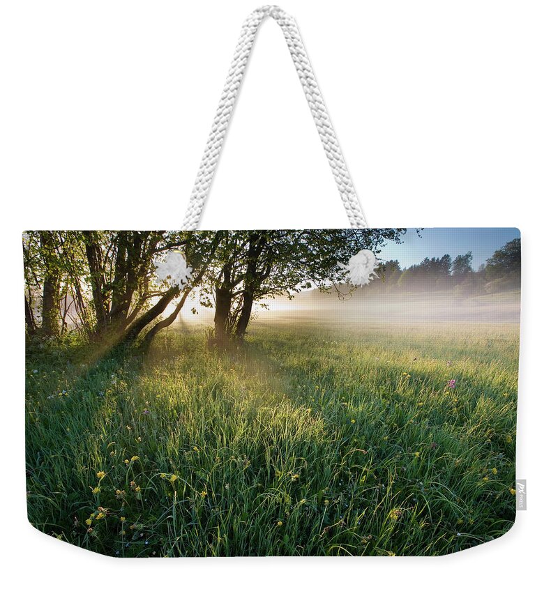 Scenics Weekender Tote Bag featuring the photograph Early Morning by Ingmar Wesemann