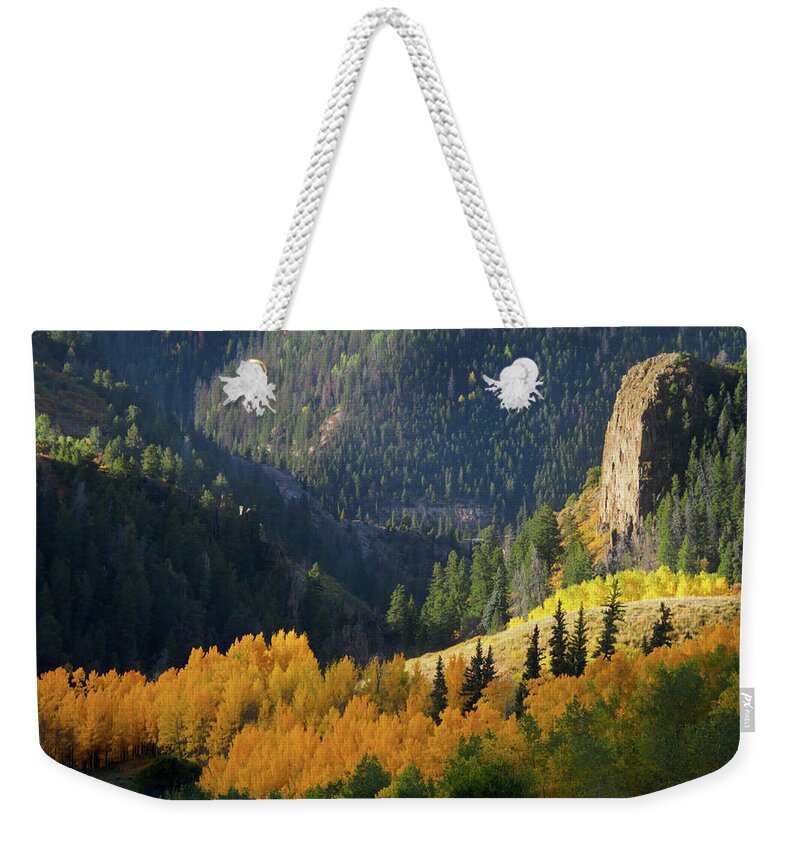 Aspens Weekender Tote Bag featuring the photograph Early Morning Light by Johnny Boyd