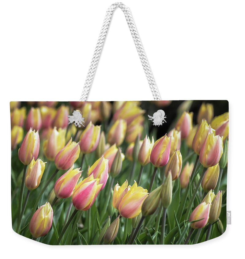Woodland Garden Weekender Tote Bag featuring the photograph Early Tulips by James Barber