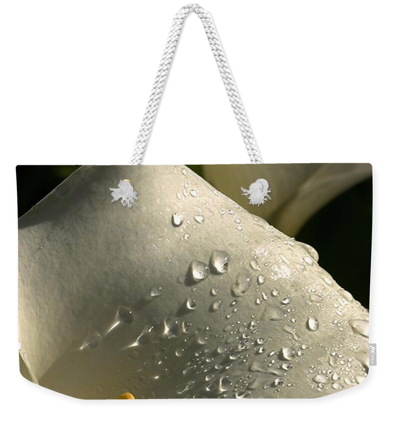 Botanical Weekender Tote Bag featuring the photograph Easter Rain by Richard Thomas