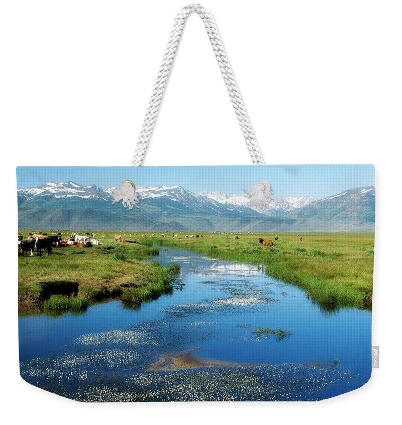 Grass Weekender Tote Bag featuring the photograph Eastern Slope Sierra Nevada by Jmoor17