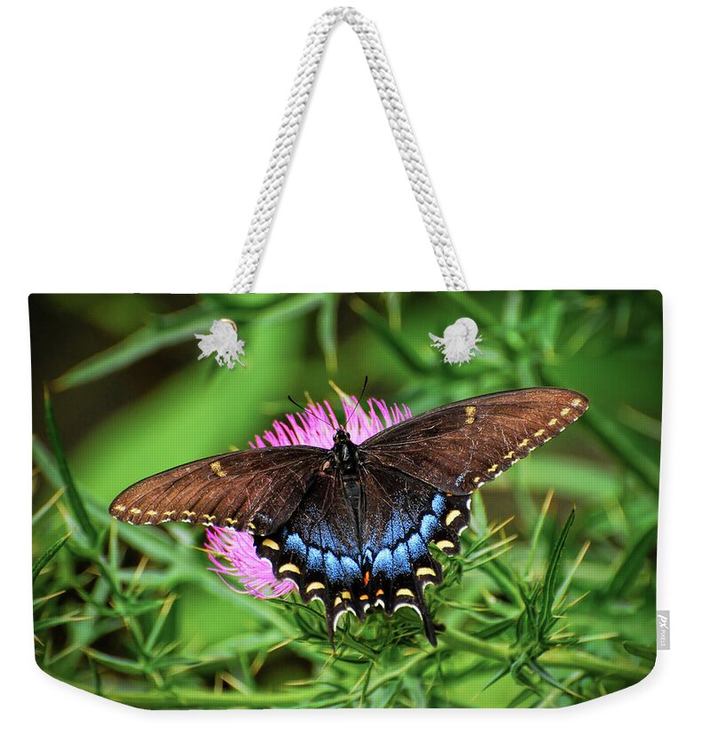 Butterfly Weekender Tote Bag featuring the photograph Eastern Tiger Swallowtail - Dark Morph by Kerri Farley