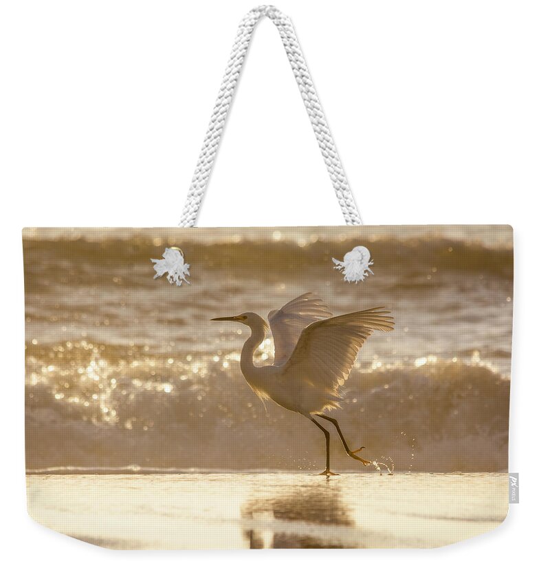 Snowy Egret Weekender Tote Bag featuring the photograph Egret At The Beach On A Sunny Morning by Steven Sparks