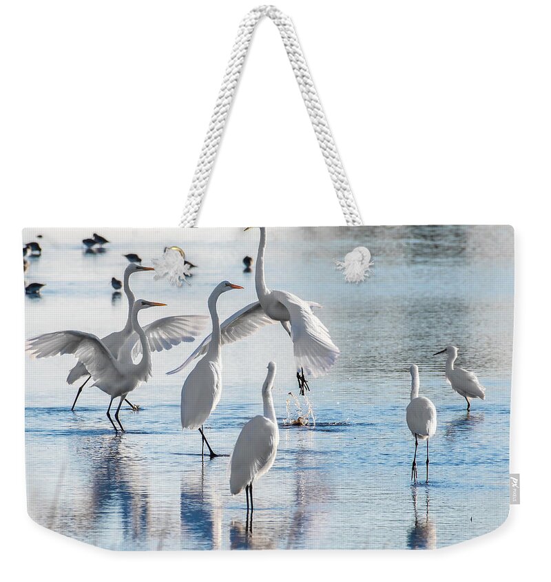 Birds Weekender Tote Bag featuring the photograph Egret Ballet 1400 by Donald Brown