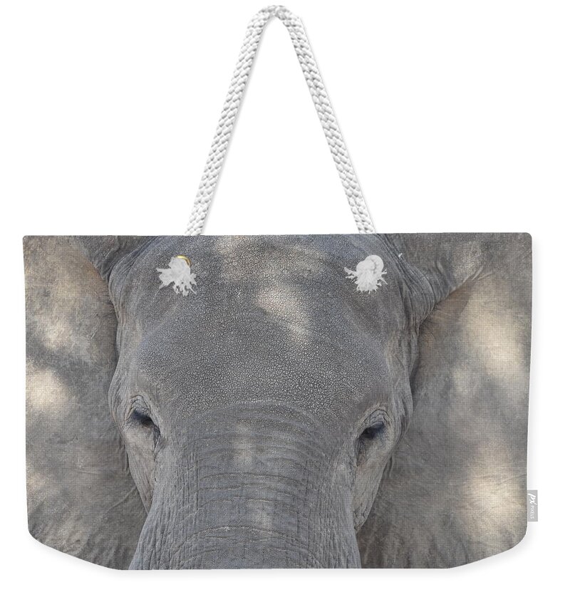 Elephant Weekender Tote Bag featuring the photograph Elephant Closeup by Ben Foster