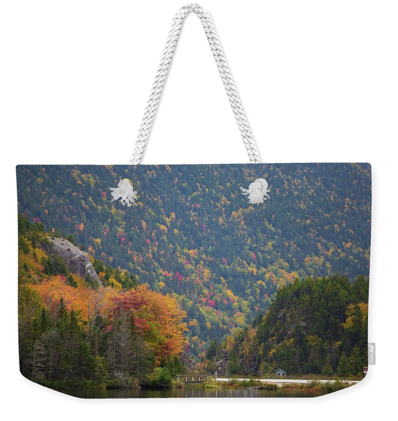 Elephant Weekender Tote Bag featuring the photograph Elephant Head Autumn by Chris Whiton