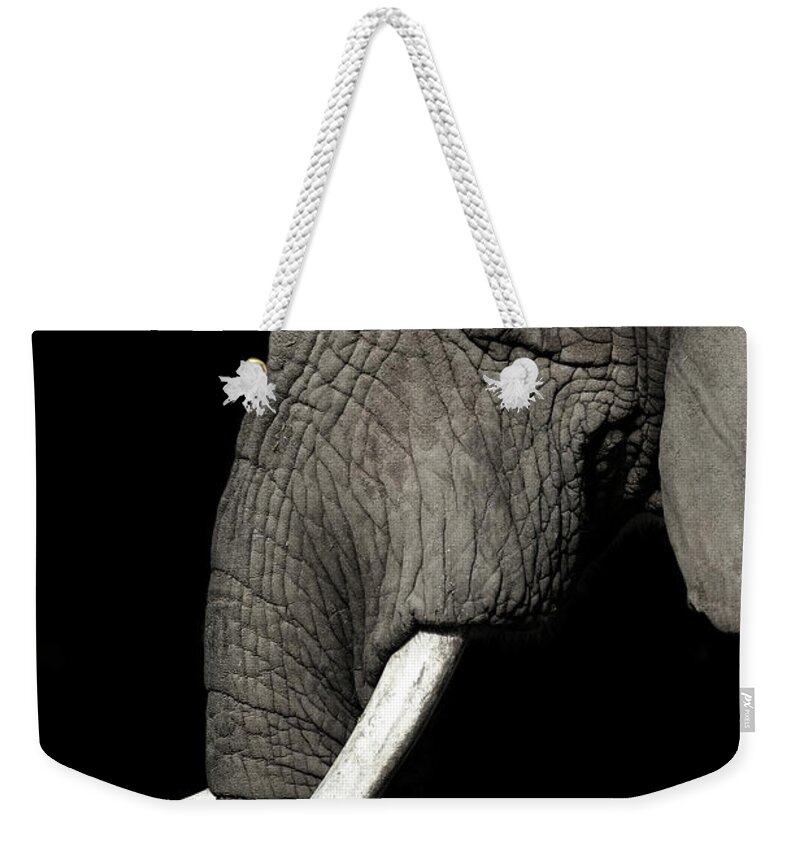 Animal Themes Weekender Tote Bag featuring the photograph Elephant by Krzysztof Hanusiak Photography