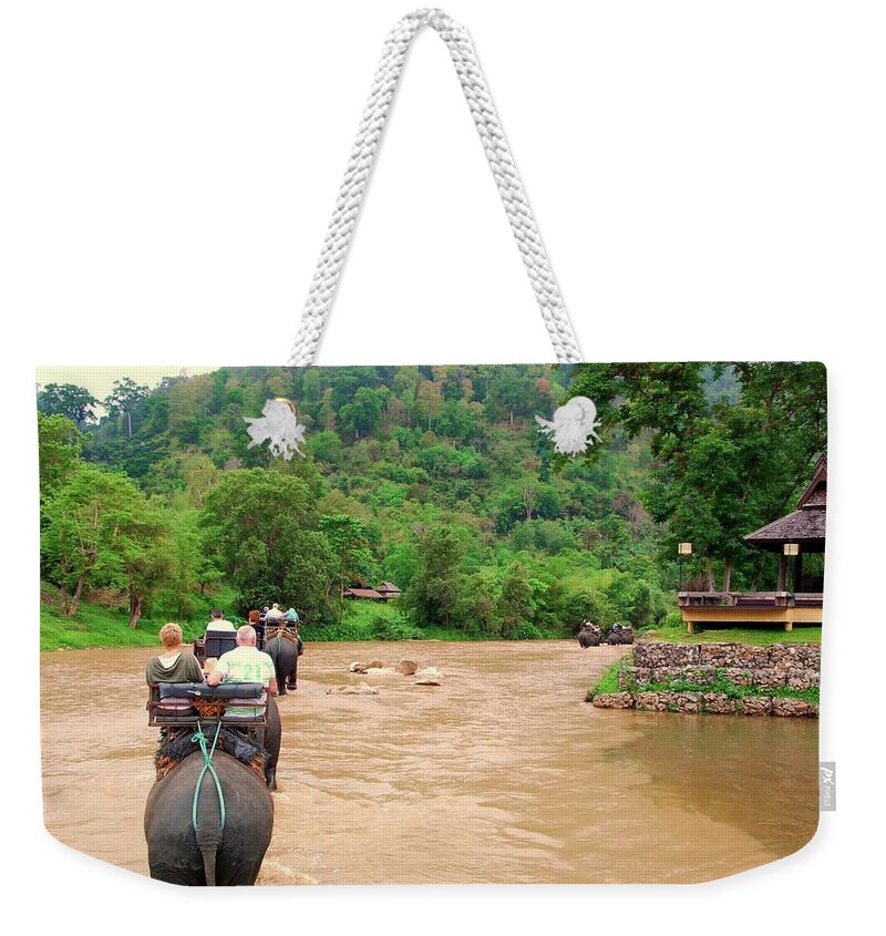 Grass Weekender Tote Bag featuring the photograph Elephant Trekking by Dragos Cosmin Photos
