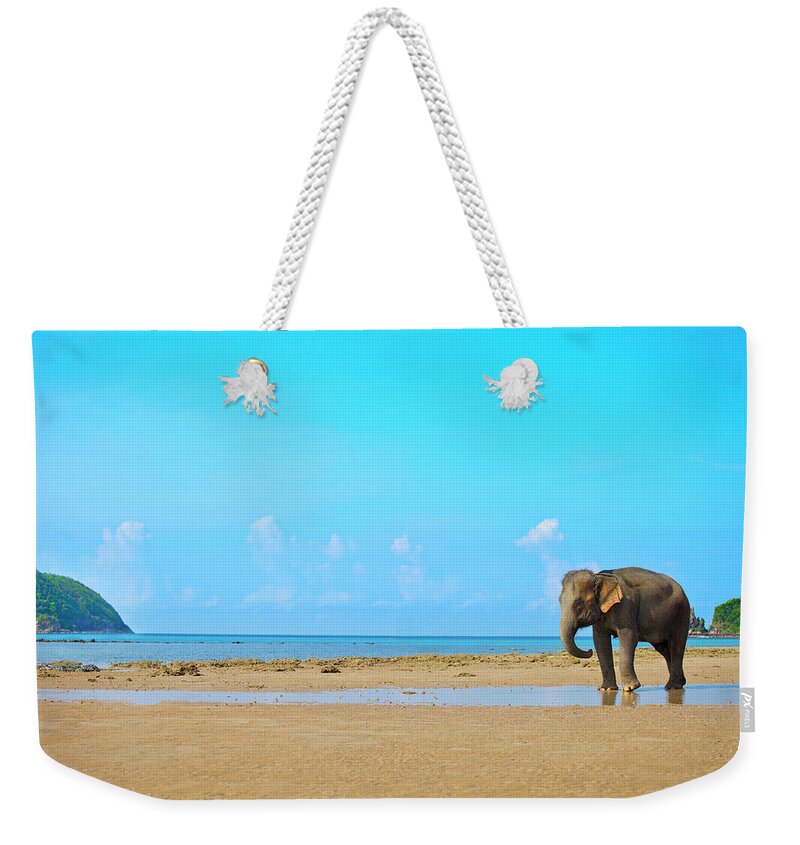 Animals In The Wild Weekender Tote Bag featuring the photograph Elephant Walking by Vladgans