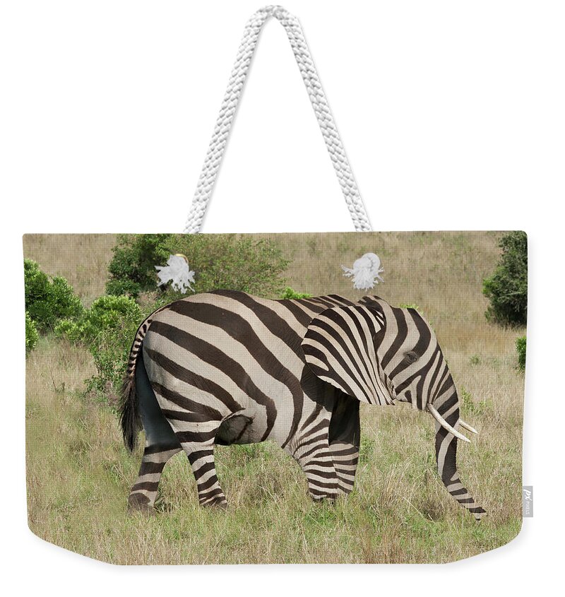 Kenya Weekender Tote Bag featuring the photograph Elephant With Zebra Camouflage by Buena Vista Images