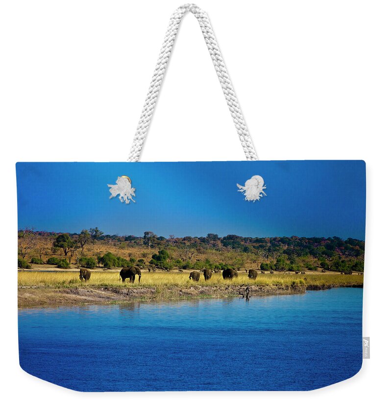 Scenics Weekender Tote Bag featuring the photograph Elephants By Chobe River, Chobe by Thomas Varley