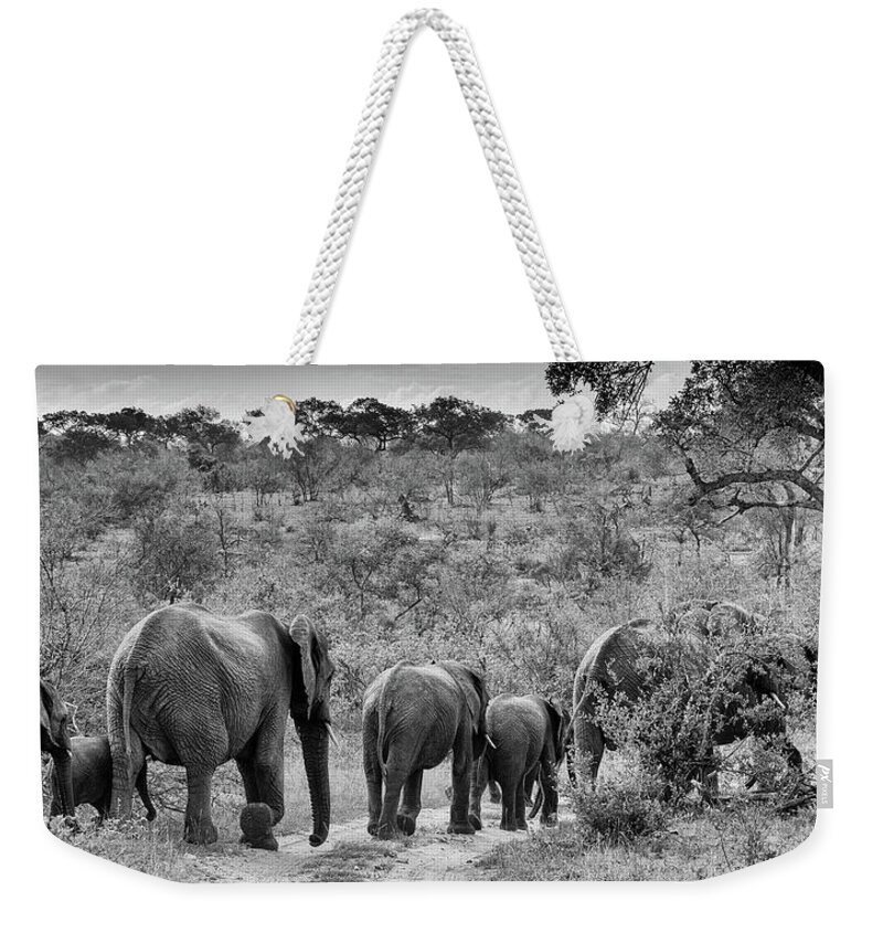 Elephants Weekender Tote Bag featuring the photograph Elephants strolling by Mark Hunter
