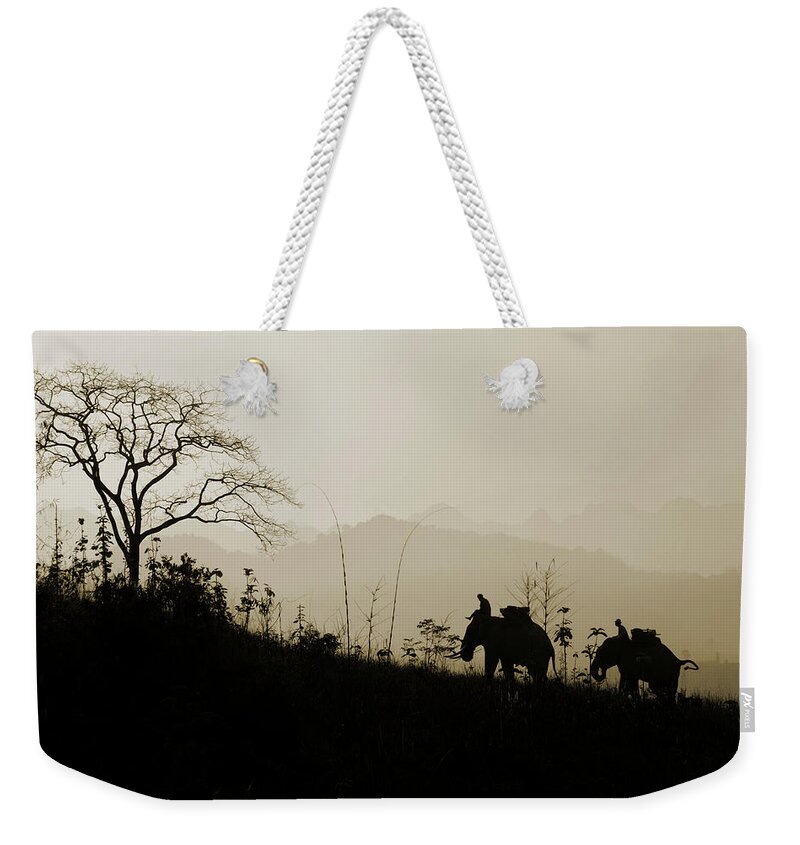 Tropical Rainforest Weekender Tote Bag featuring the photograph Elephants Trekking by Shutterworx