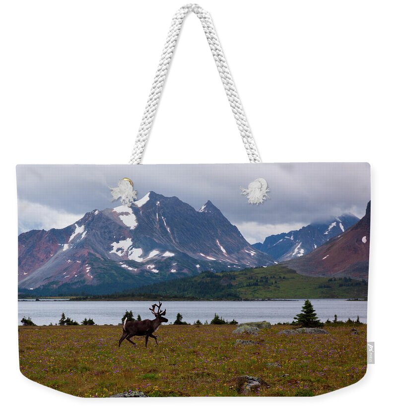 Standing Water Weekender Tote Bag featuring the photograph Elk, Jasper National Park, Alberta by Mint Images/ Art Wolfe