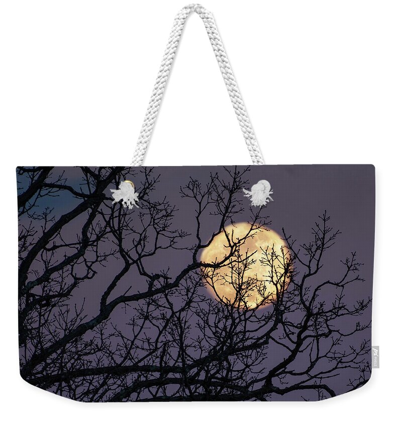 Moon Weekender Tote Bag featuring the photograph Embracing The Moon by Lara Ellis