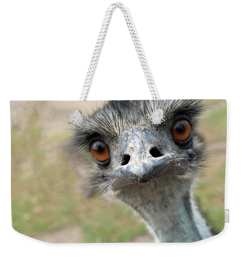 Emu Weekender Tote Bag featuring the photograph Emu by Sarah Lilja