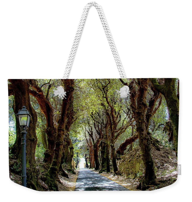 Alban Hills Weekender Tote Bag featuring the photograph Enchanted Forest by Joseph Yarbrough